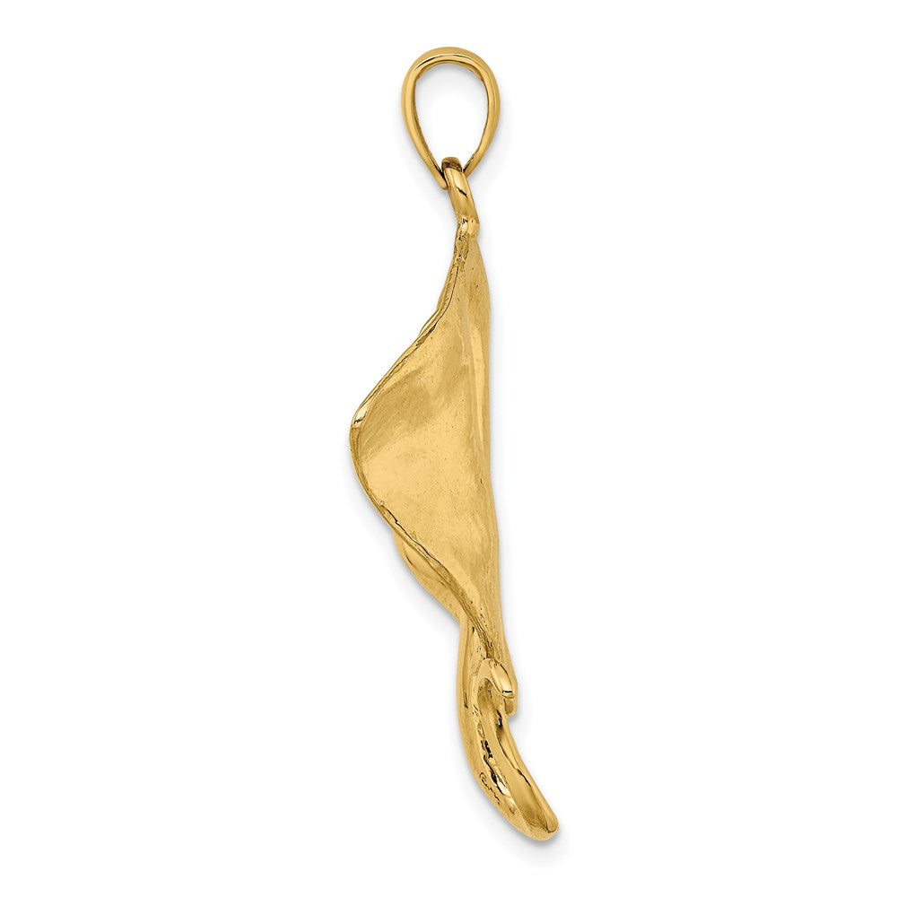 14k Yellow Gold 28.3 mm Polished Stingray Charm (6.1 grams)