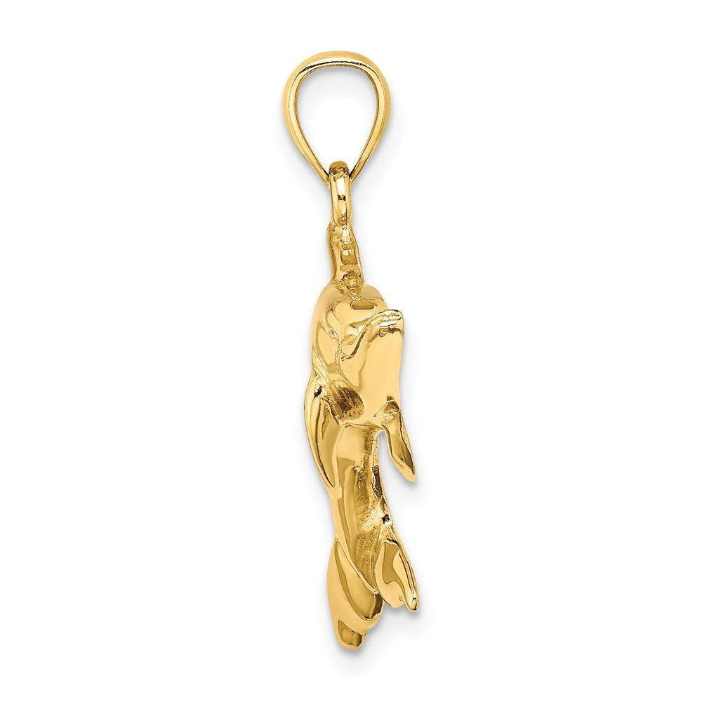 14k Yellow Gold 35.5 mm ng Dolphin Charm (3.97 grams)