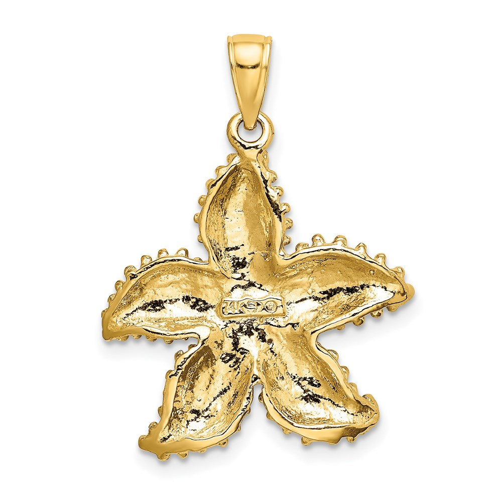 14k Yellow Gold 22.8 mm Textured Starfish Charm (3.7 grams)