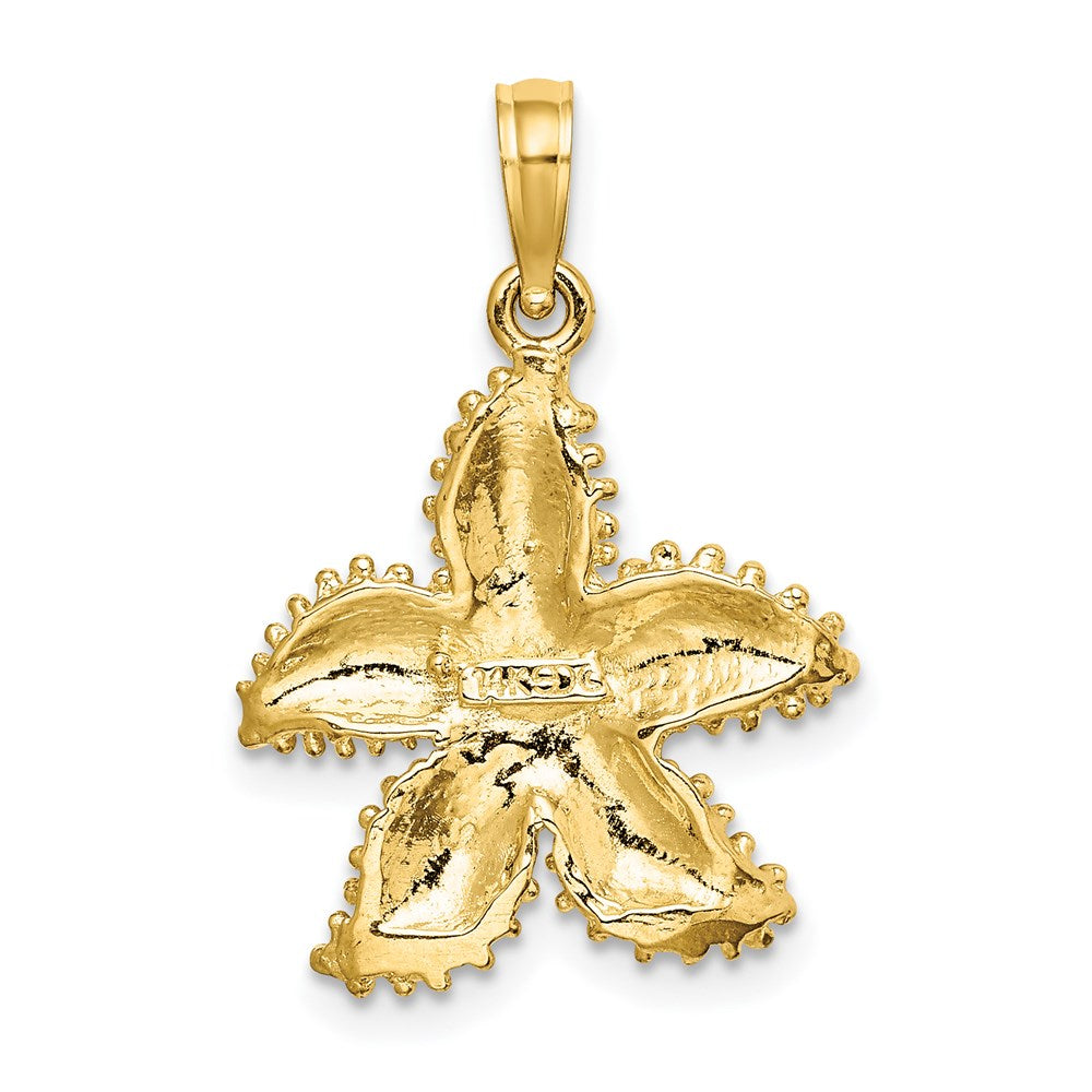 14k Yellow Gold 12 mm Textured Starfish Charm (2.33 grams)
