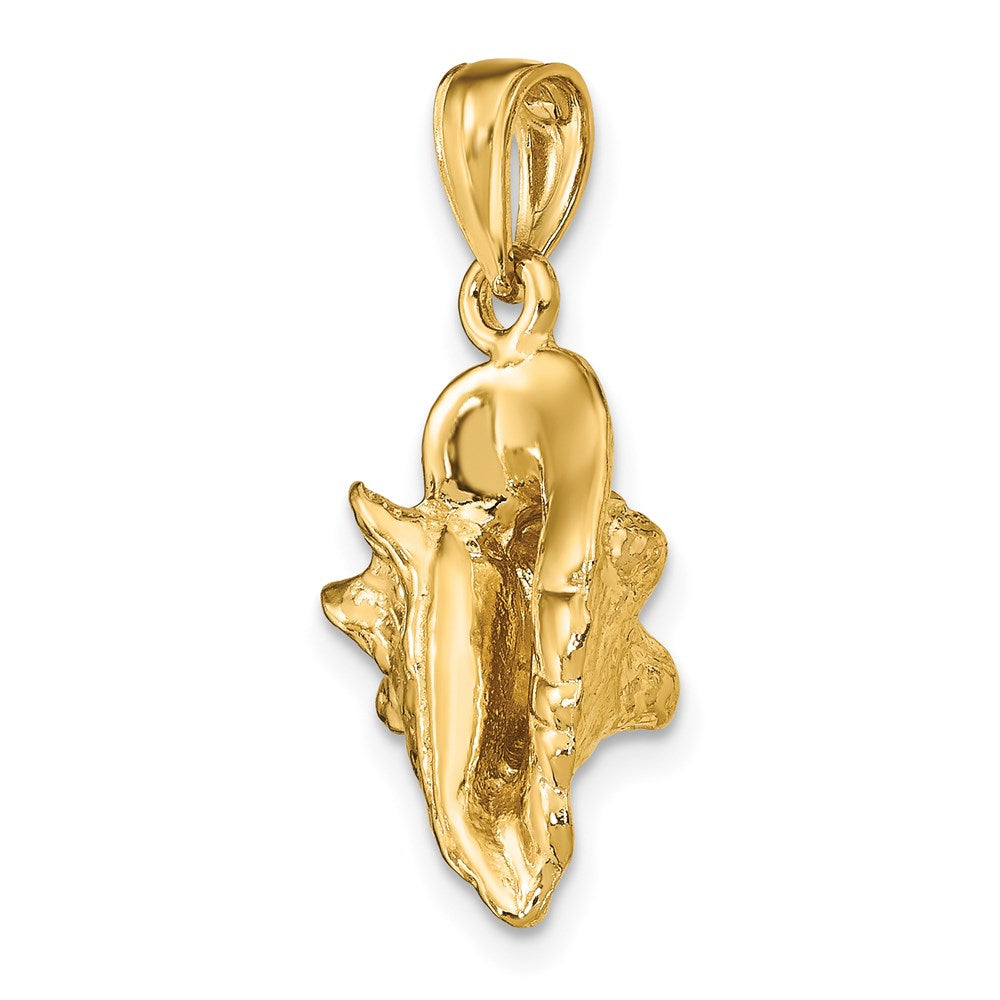 14k Yellow Gold 19.65 mm 3-D Conch Shell Charm (6.83 grams)