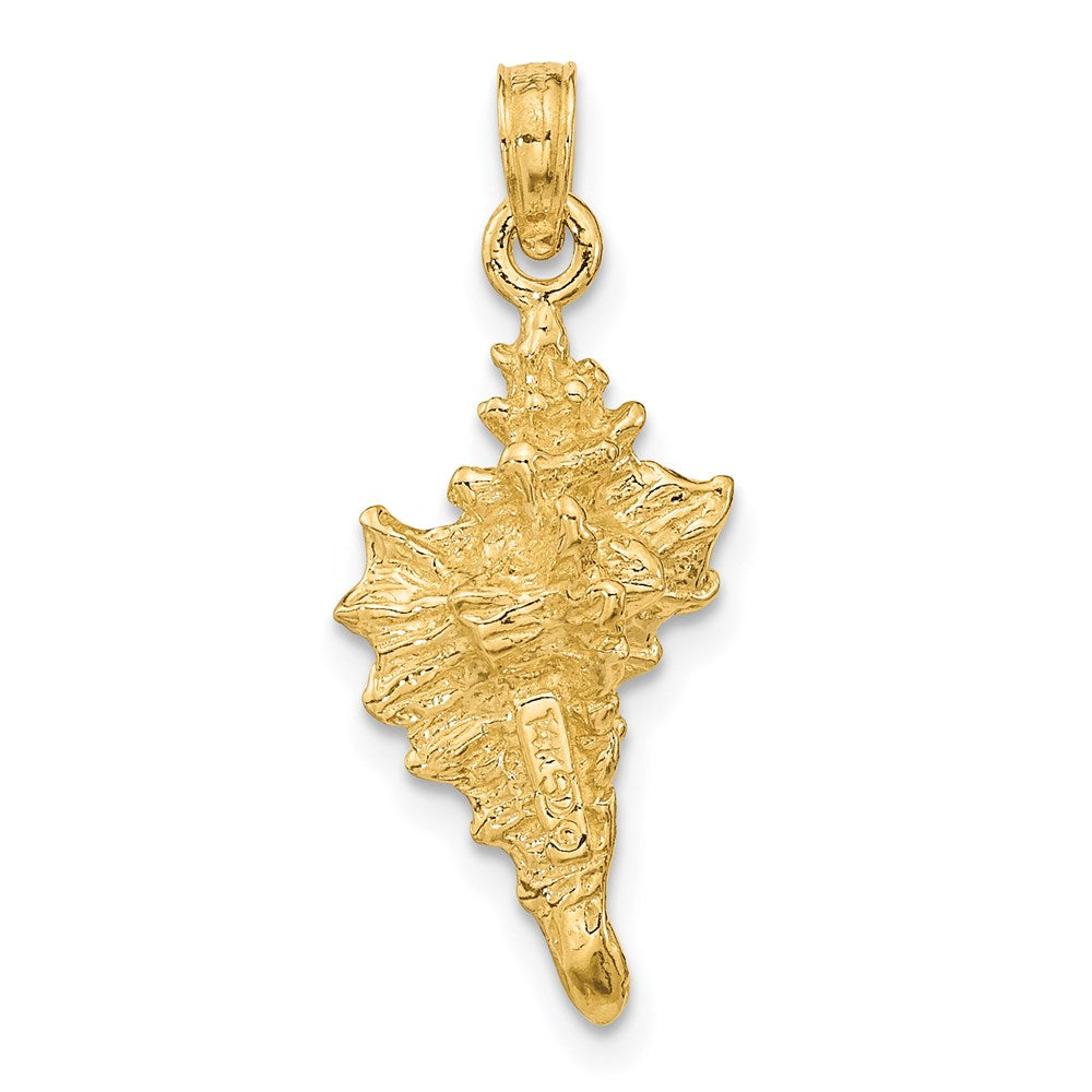 14k Yellow Gold 11.45 mm 3-D Conch Shell Charm (3.02 grams)