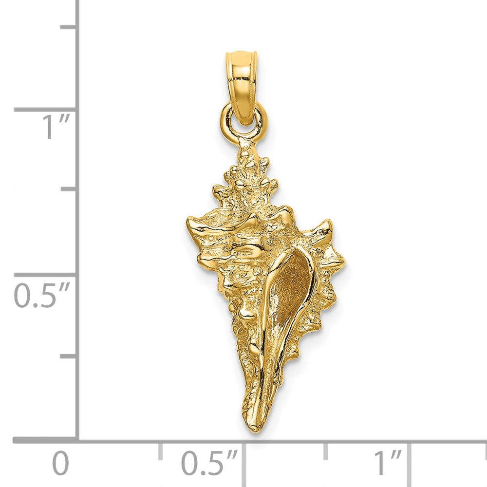 14k Yellow Gold 11.45 mm 3-D Conch Shell Charm (3.02 grams)