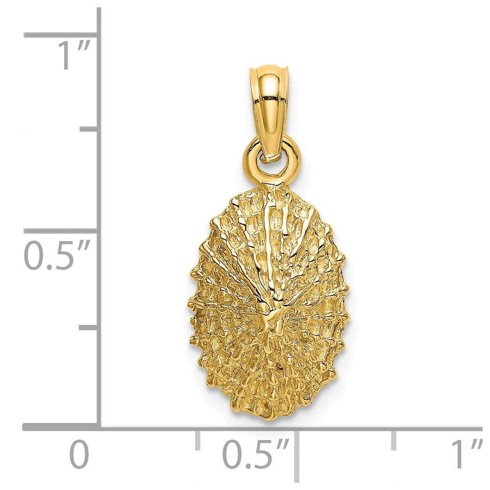 14k Yellow Gold 9.5 mm Textured Limpet Shell Charm (1.57 grams)