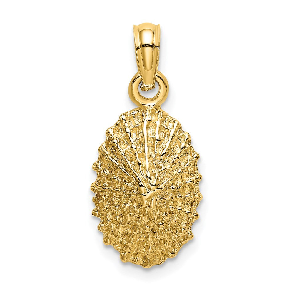 14k Yellow Gold 9.5 mm Textured Limpet Shell Charm (1.57 grams)