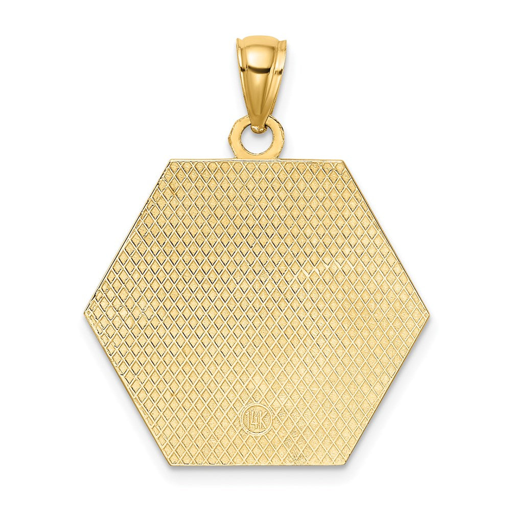 14k Yellow Gold 24.5 mm Textured Back Caduceus Medical Disc (3.73 grams)
