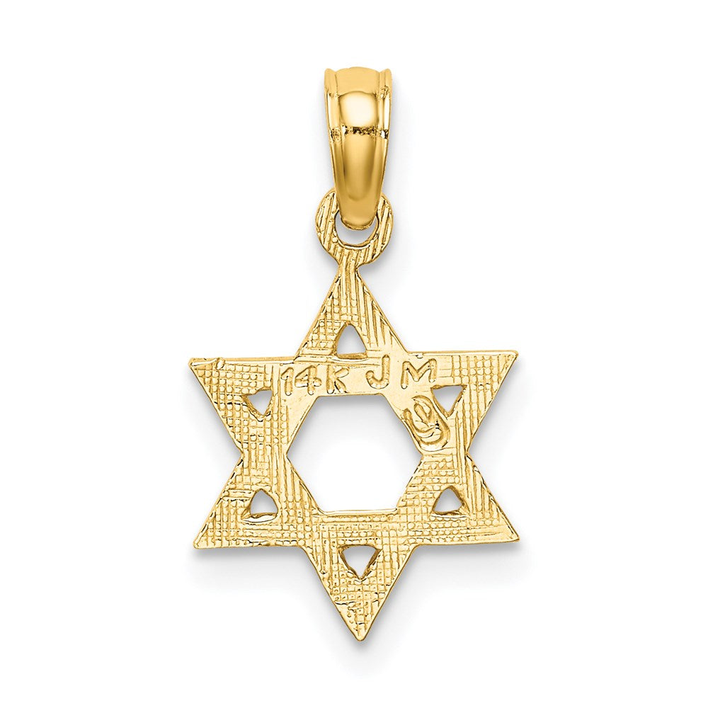 14k Yellow Gold 11 mm Engraved Star Of David Charm