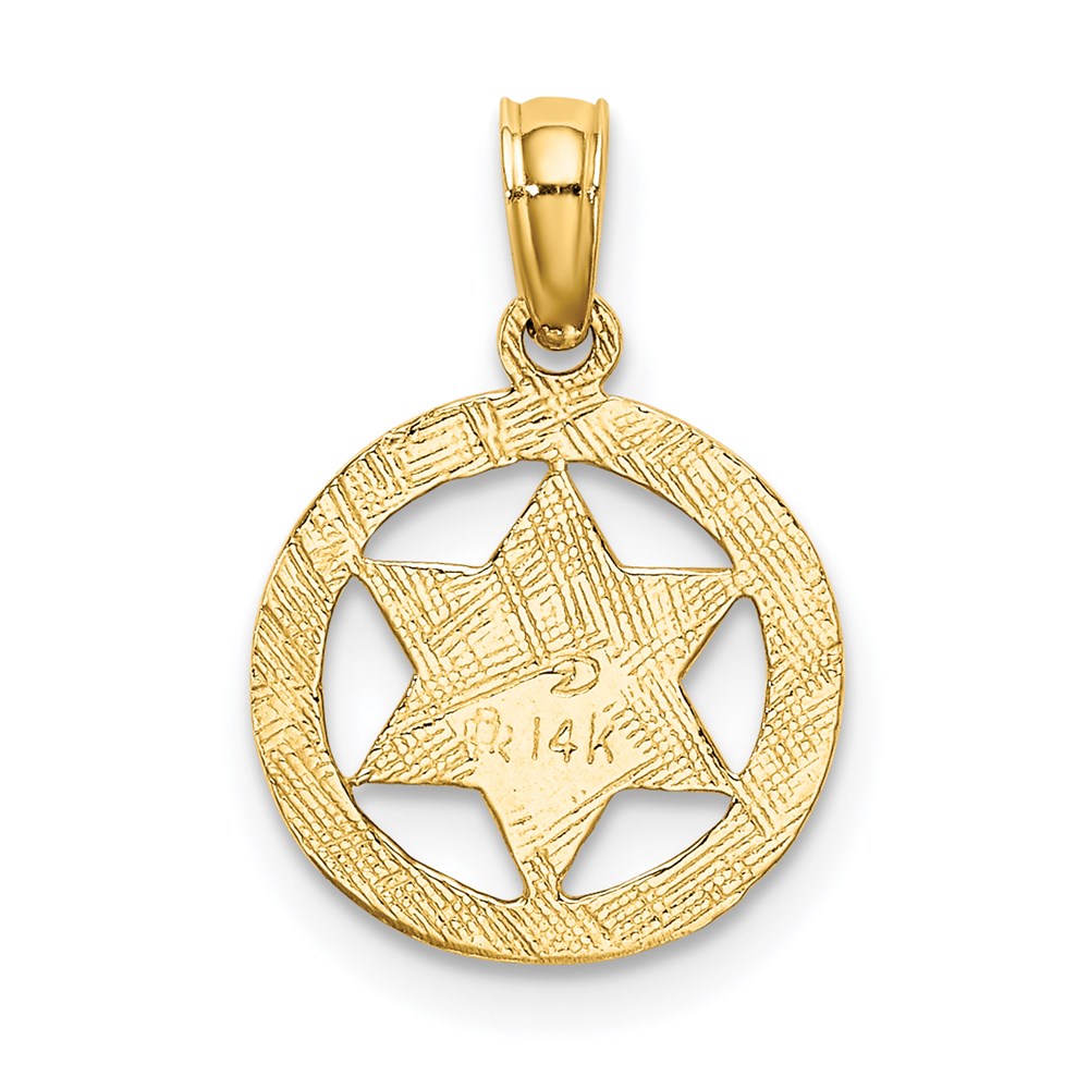 14k Yellow Gold 4.8 mm Engraved Star Of David In Circle Charm
