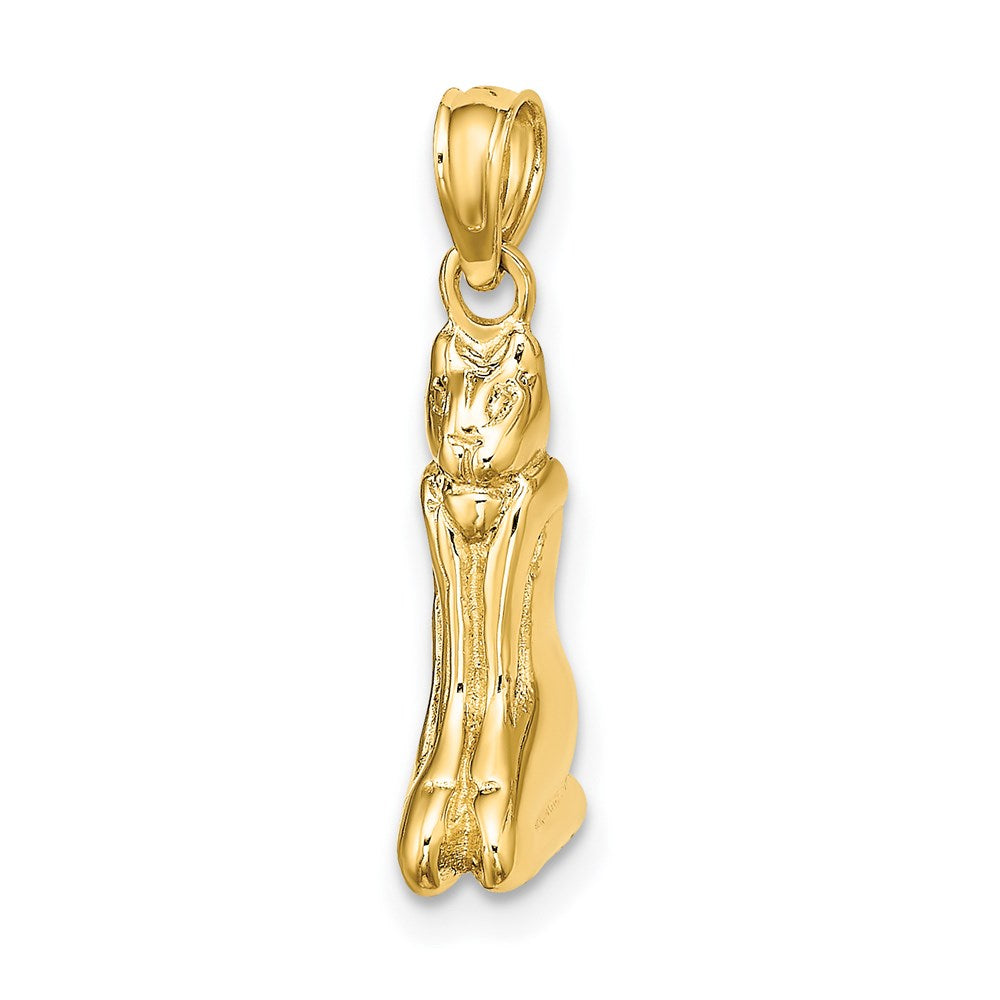 14k Yellow Gold 4 mm 3D Polished MARCO ISLAND Cat Charm (2.56 grams)