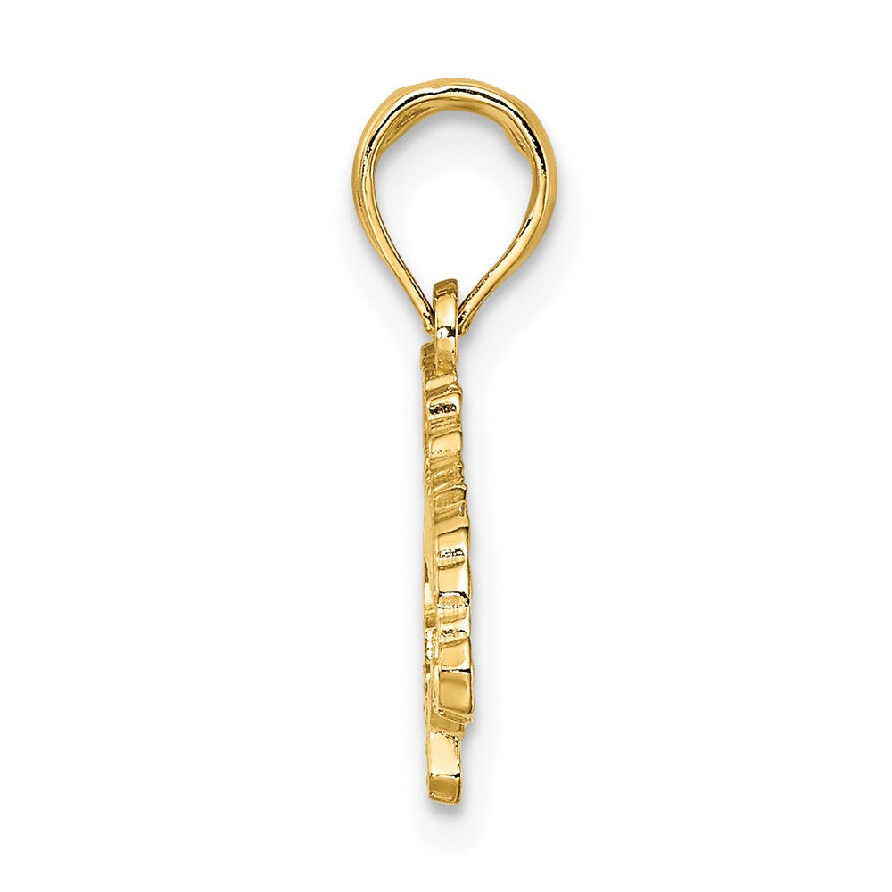 14k Yellow Gold 23.8 mm Textured JAMAICA Map Charm (1.22 grams)