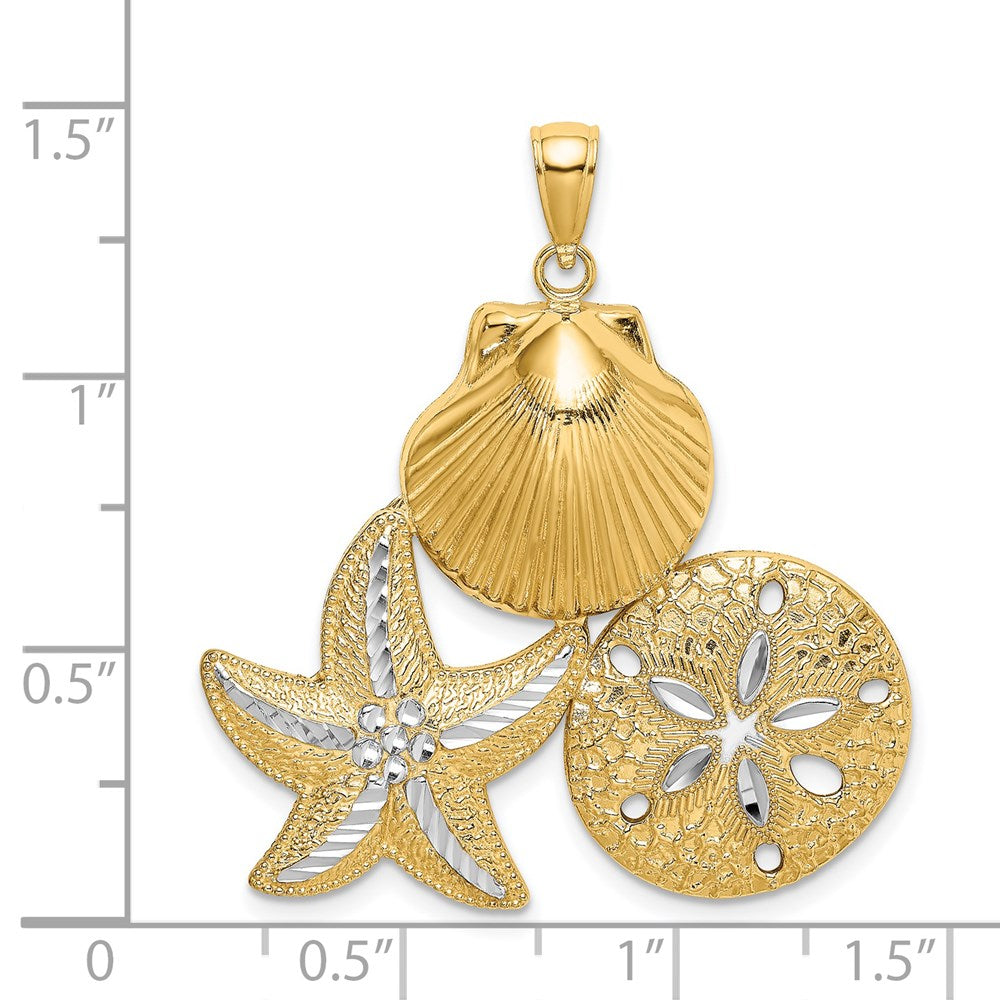 14k Yellow & Rhodium 35 mm  Diamond-cut Scallop Starfish Sand Dollar Charm (5.57 grams)