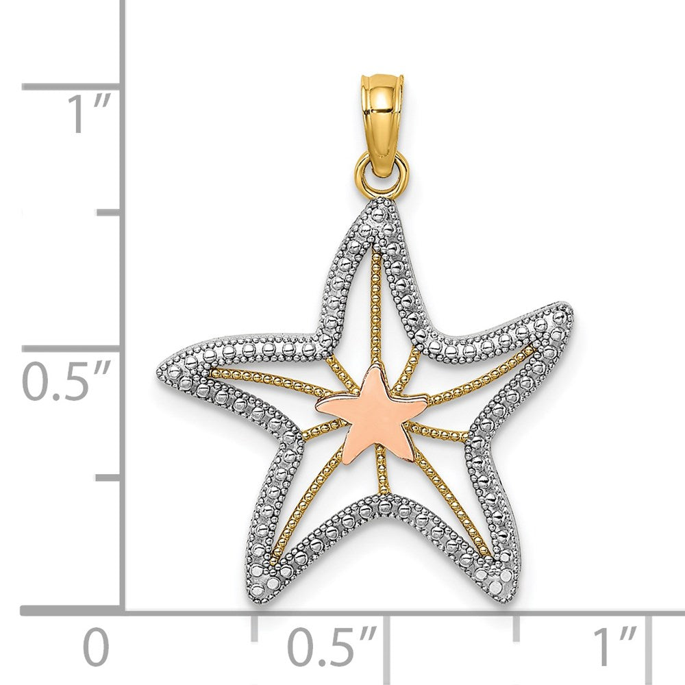 14k Two-tone 20.95 mm  Cut-Out Small Starfish Charm (1.54 grams)