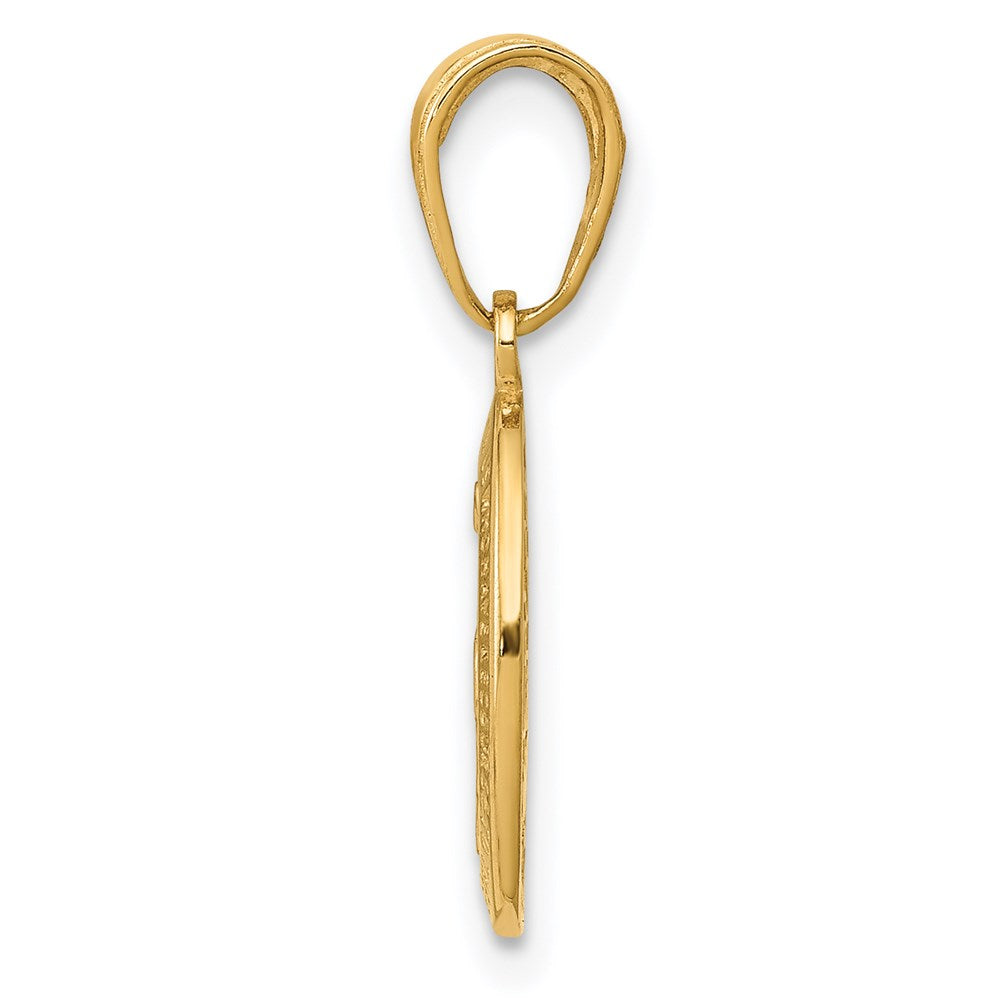 14k Yellow Gold 8 mm Miraculous Medal Charm (1.04 grams)