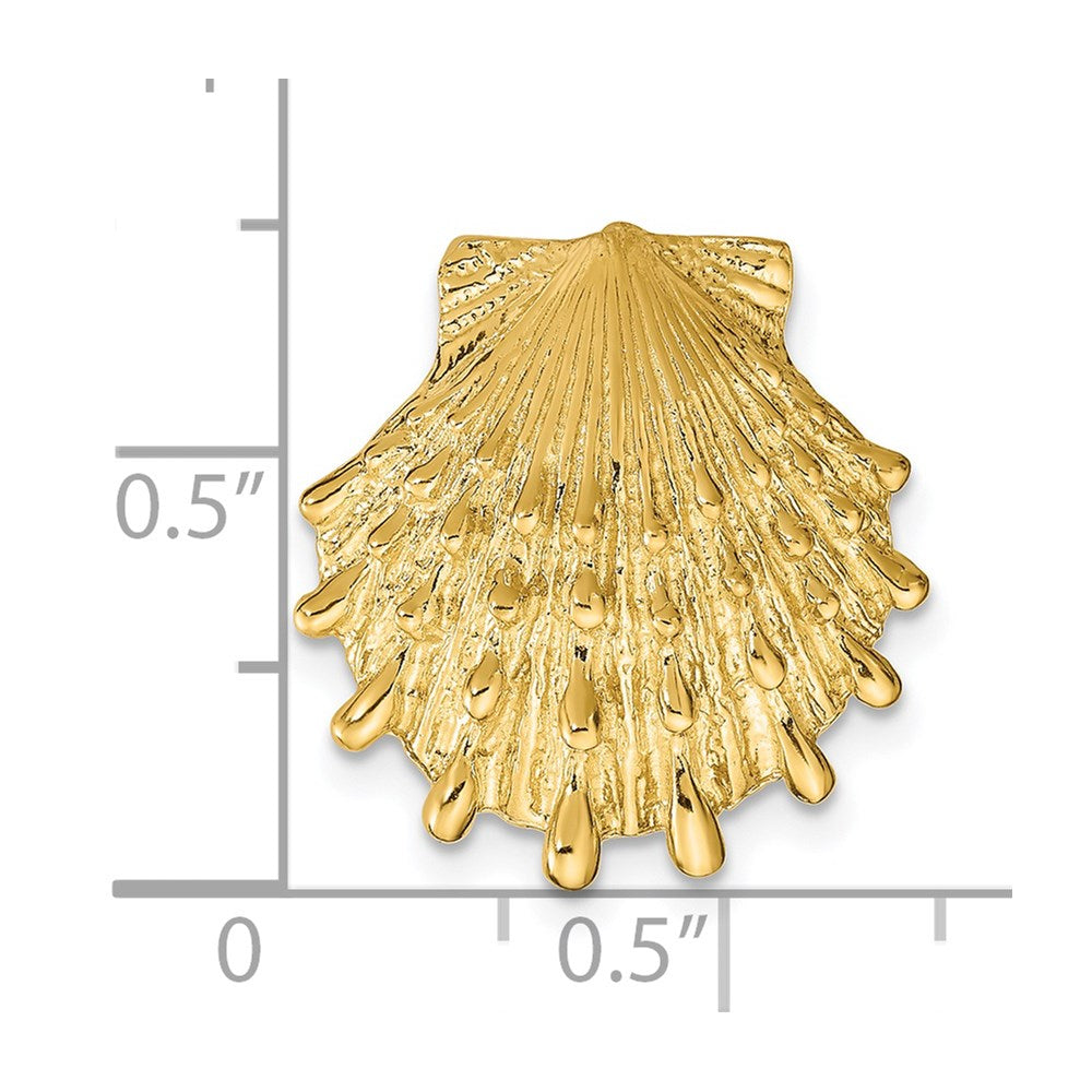 14k Yellow Gold 17 mm Lion's Paw Shell Slide (3.28 grams)
