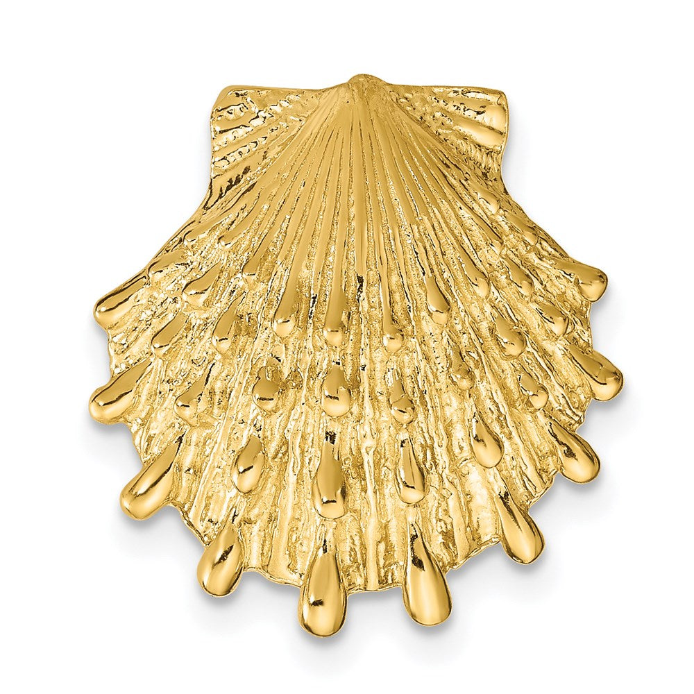 14k Yellow Gold 17 mm Lion's Paw Shell Slide (3.28 grams)