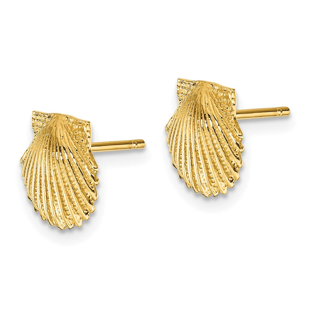 14k Yellow Gold 9 mm Scallop Shell Post Earrings (1.33 grams)