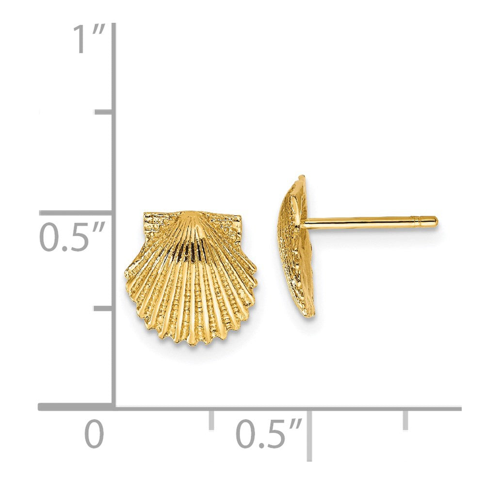 14k Yellow Gold 9 mm Scallop Shell Post Earrings (1.33 grams)