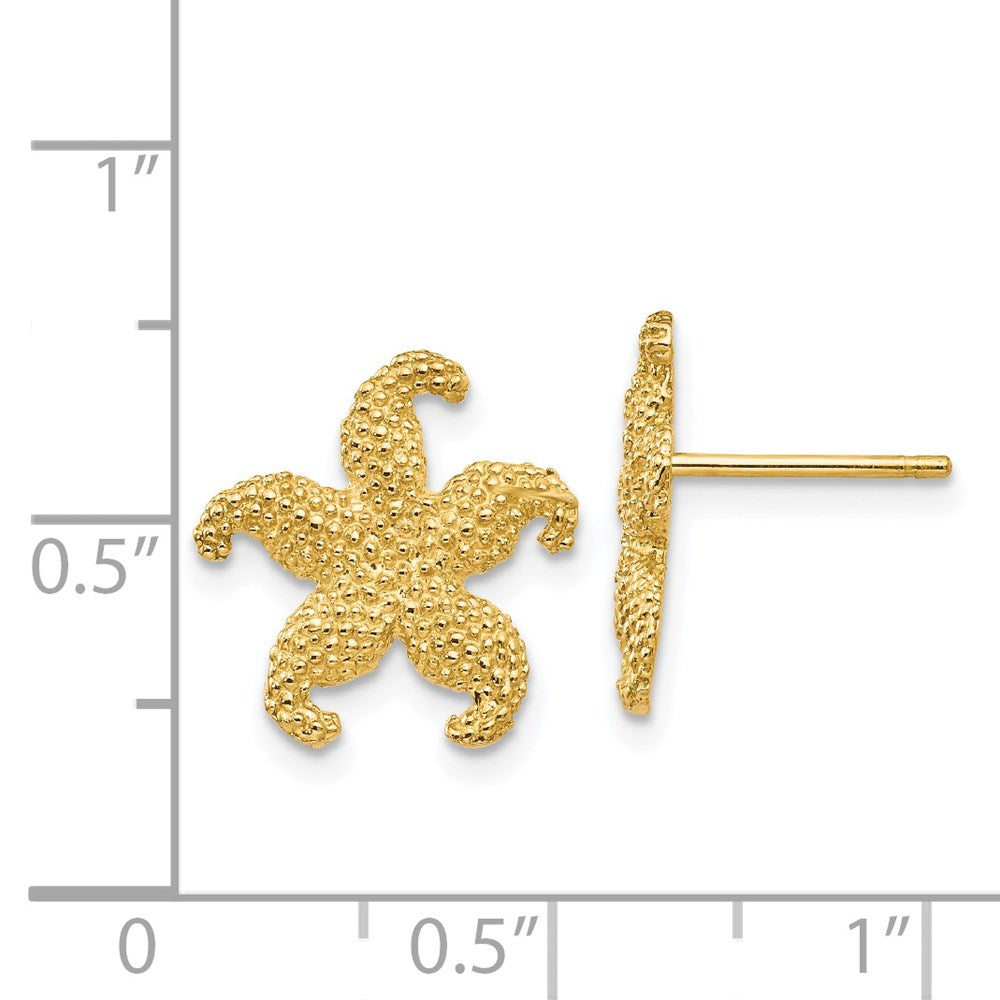 14k Yellow Gold 14 mm Starfish Post Earrings (1.69 grams)