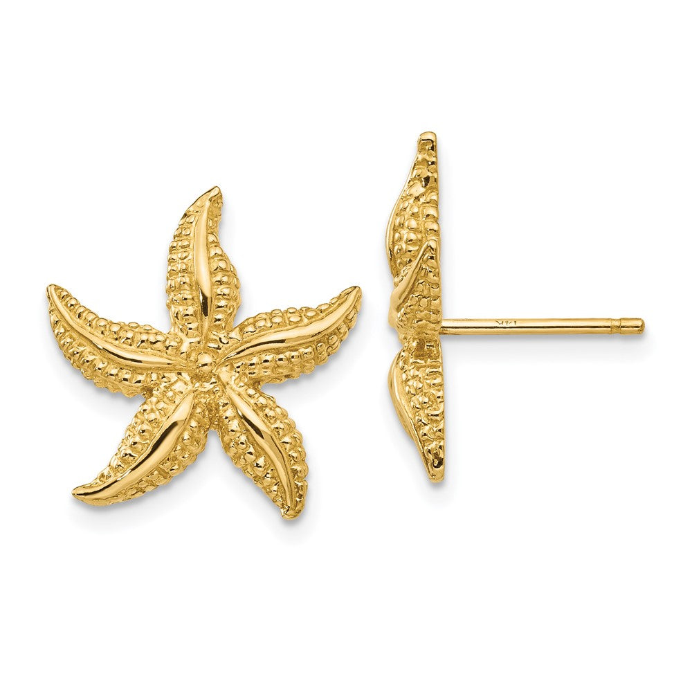 14k Yellow Gold 16 mm Starfish Post Earrings (3.36 grams)