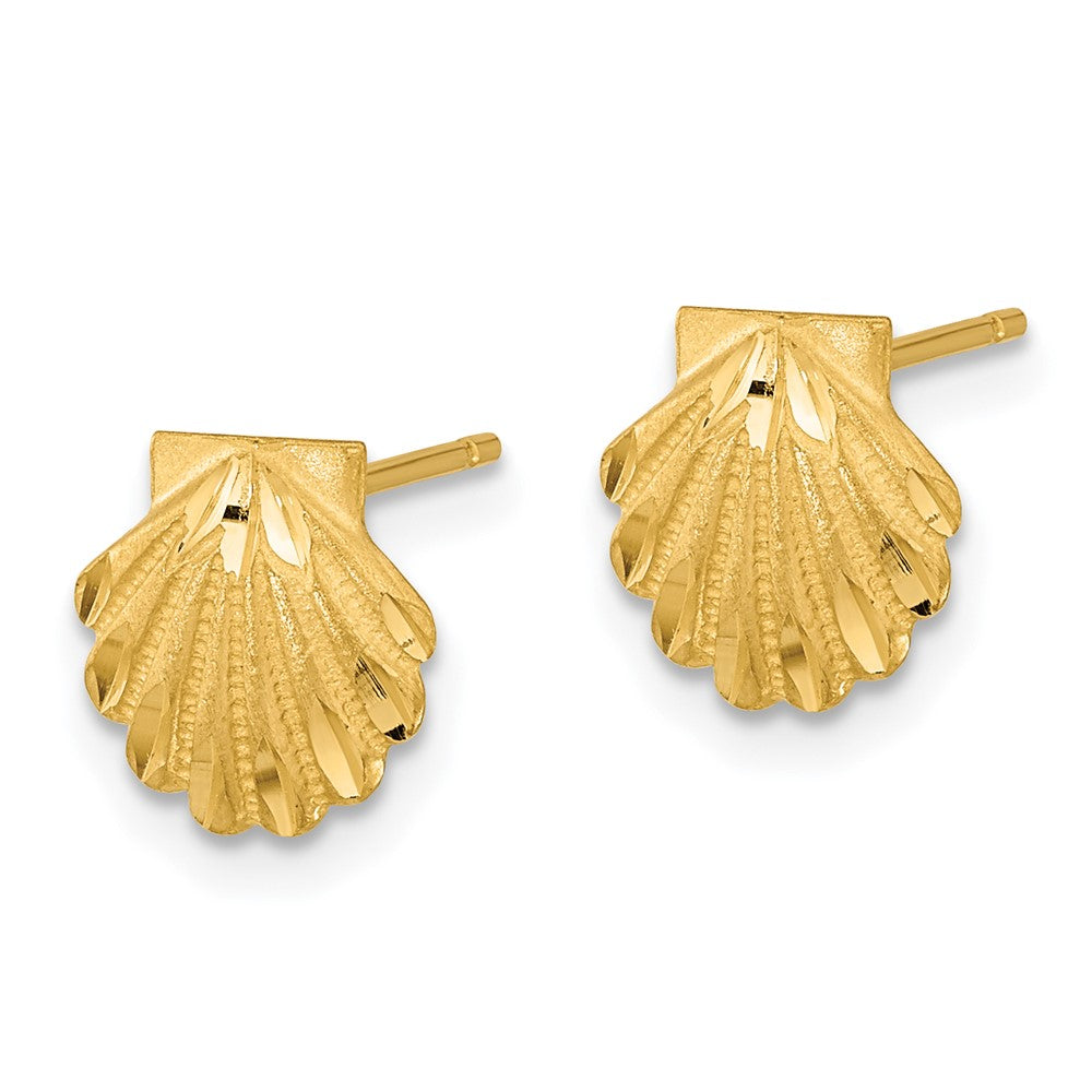 14k Yellow Gold 9 mm Satin Diamond-cut Seashell Post Earrings (1.1 grams)