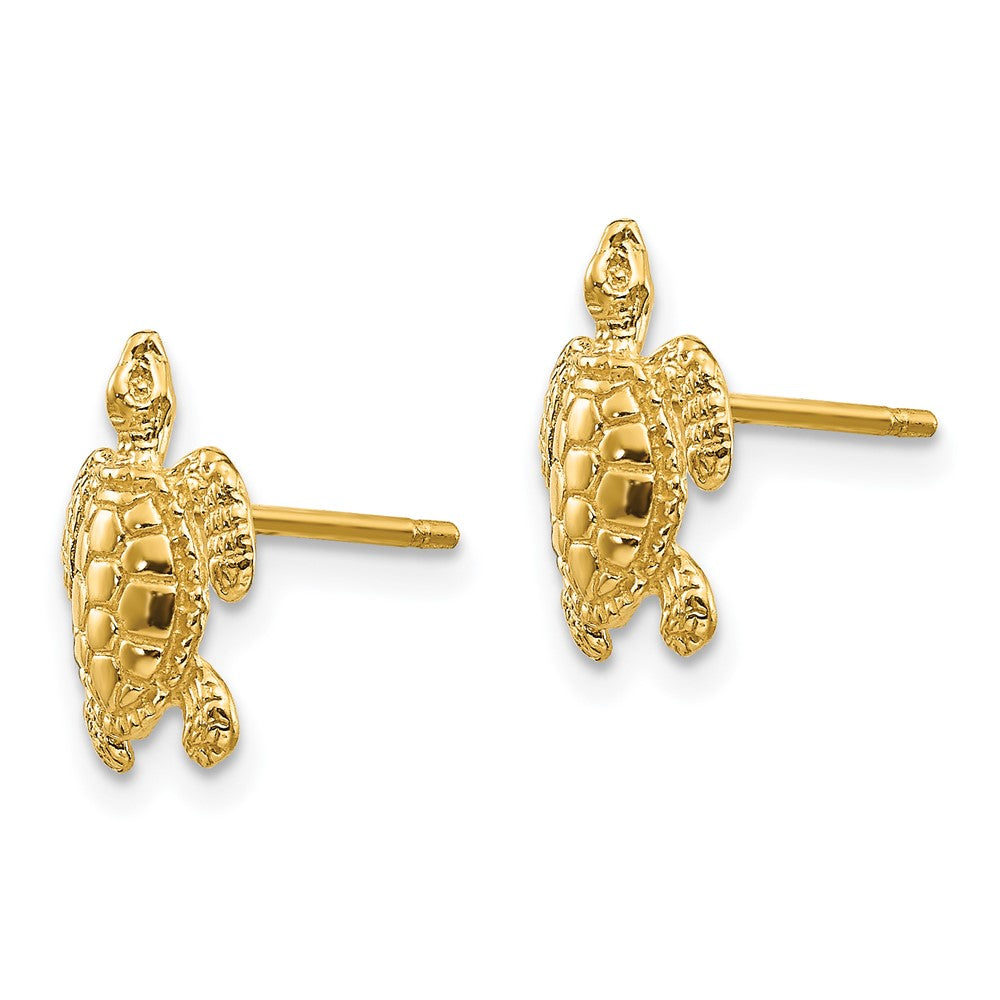 14k Yellow Gold 9 mm Sea Turtle Post Earrings