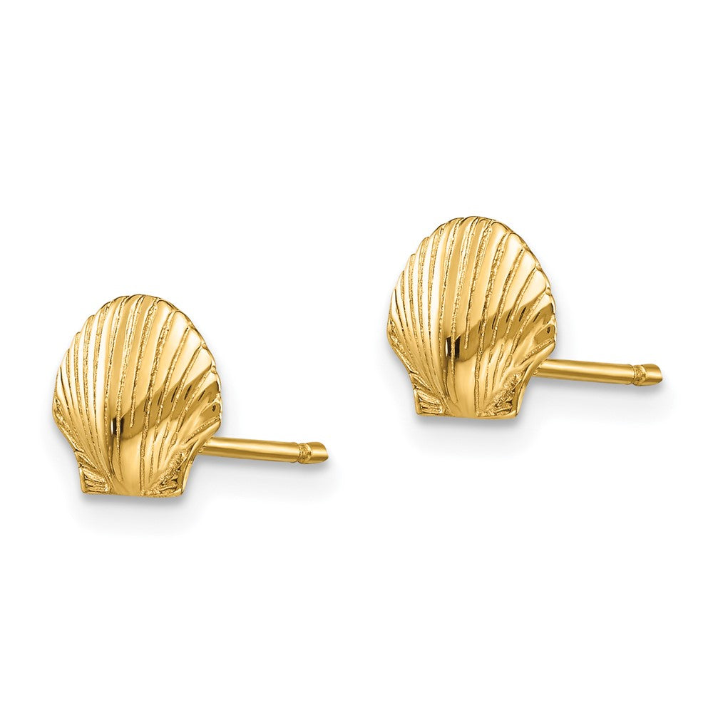 14k Yellow Gold 7 mm Mini Scallop Shell Post Earrings