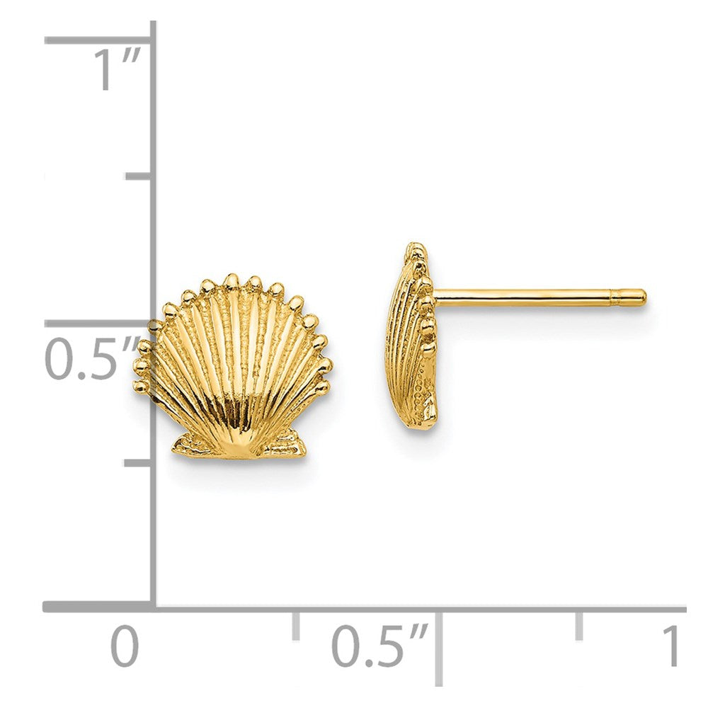 14k Yellow Gold 9 mm Scallop Shell Post Earrings (1.15 grams)