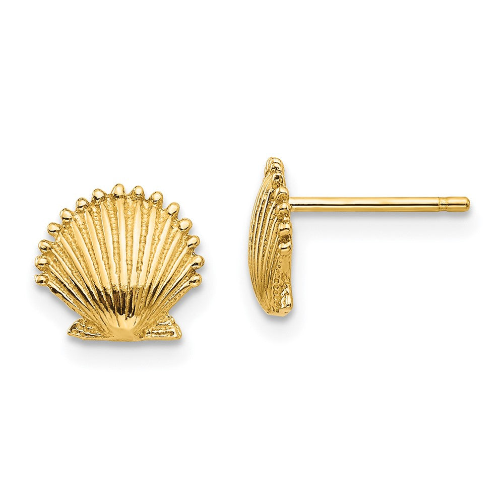 14k Yellow Gold 9 mm Scallop Shell Post Earrings