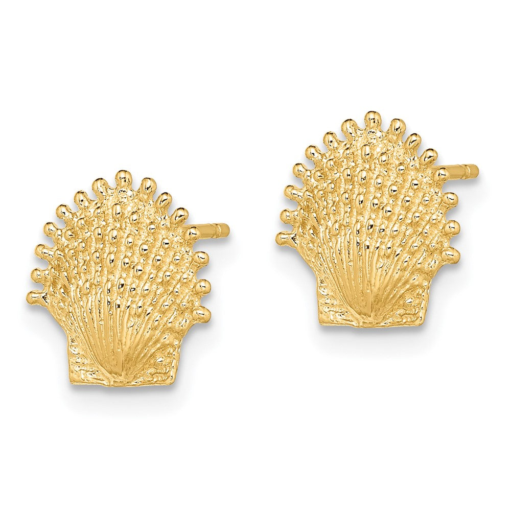 14k Yellow Gold 10.4 mm Beaded Scallop Shell Post Earrings (1.91 grams)