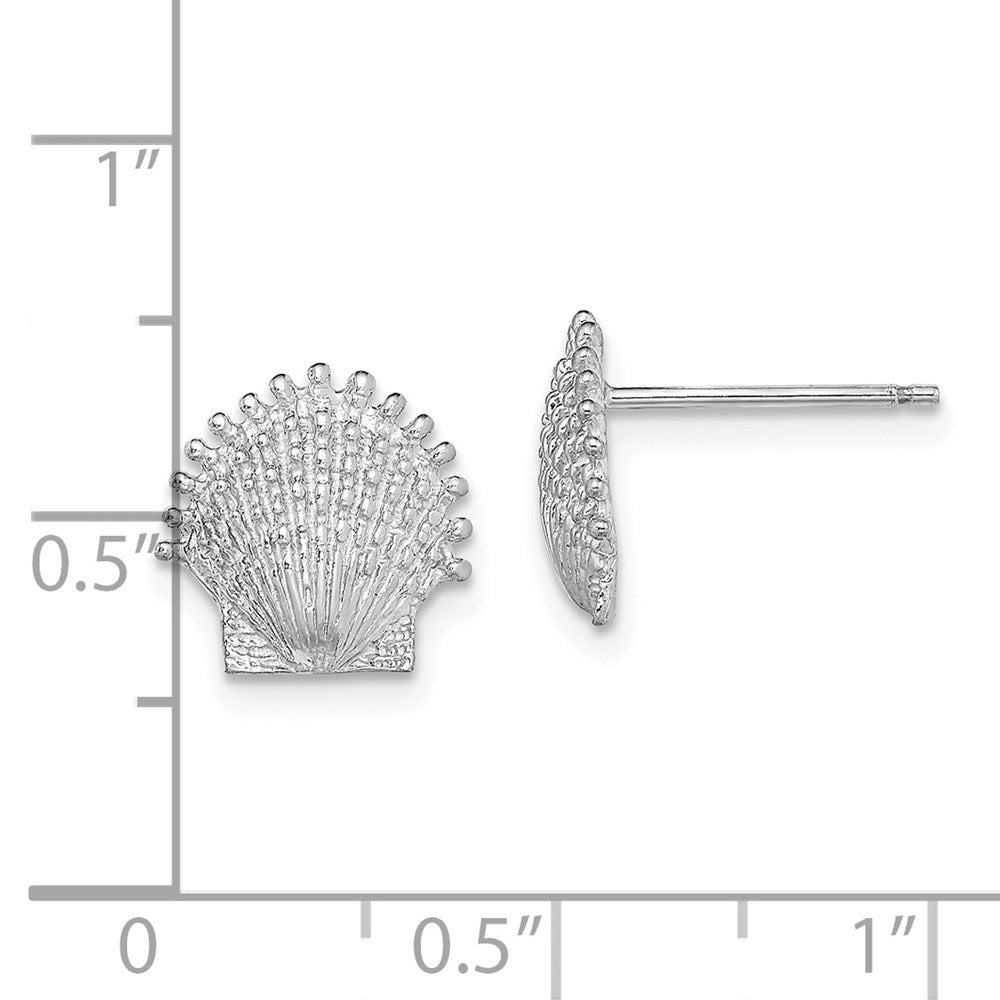 14k White Gold 10.6 mm  Beaded Scallop Shell Post Earrings (1.78 grams)