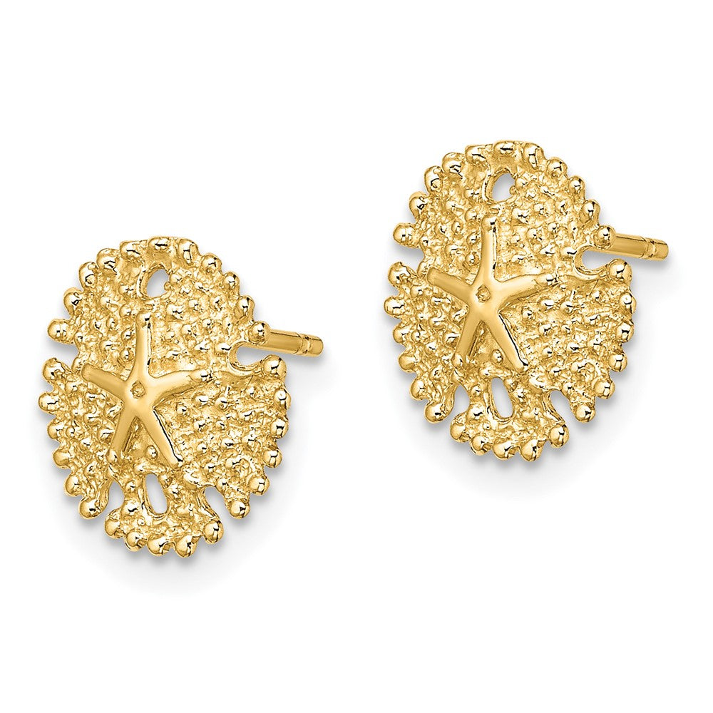 14k Yellow Gold 10.3 mm Textured Sand Dollar Post Earrings (1.42 grams)