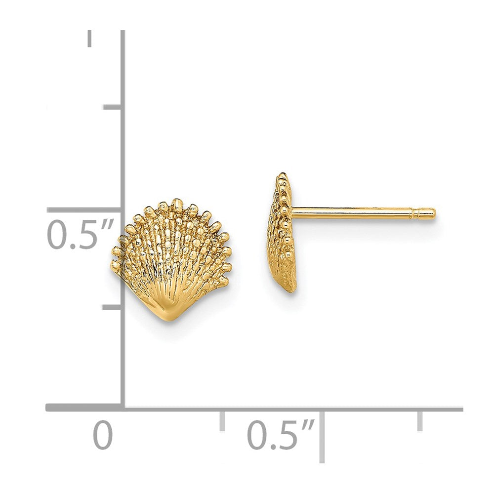14k Yellow Gold 7.7 mm Scallop Shell Post Earrings (1.01 grams)