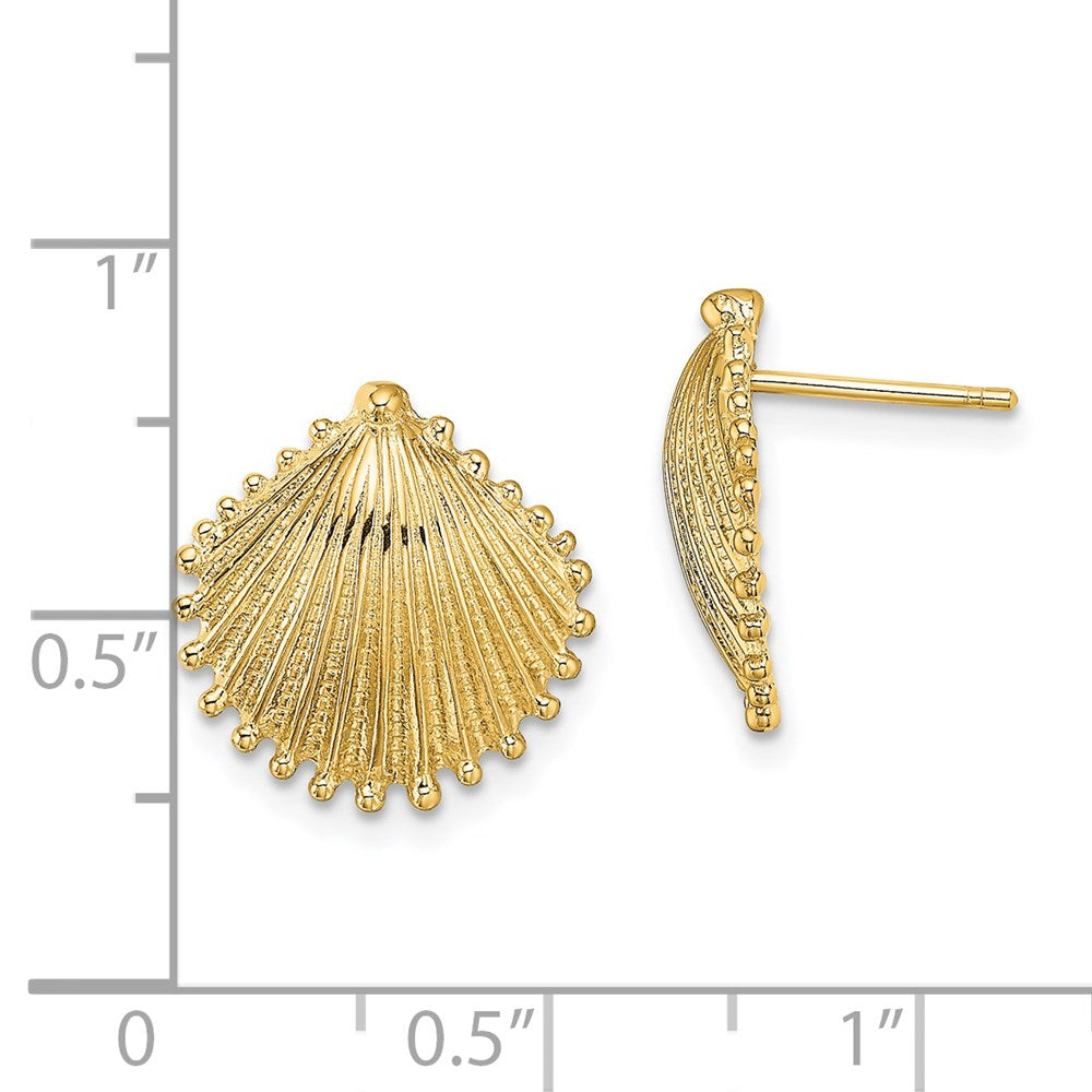 14k Yellow Gold 14.15 mm Scallop Shell Post Earrings (2.72 grams)