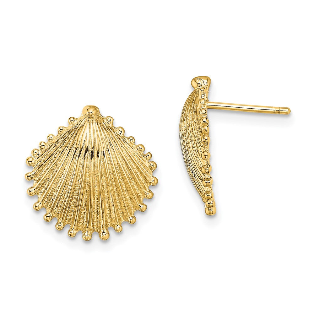 14k Yellow Gold 14.15 mm Scallop Shell Post Earrings