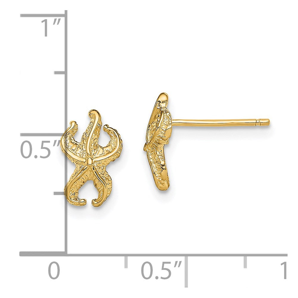 14k Yellow Gold 6.5 mm Starfish Post Earrings (1.07 grams)