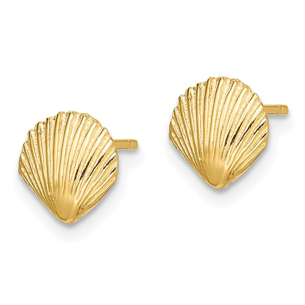 14k Yellow Gold 8 mm Scallop Shell Post Earrings