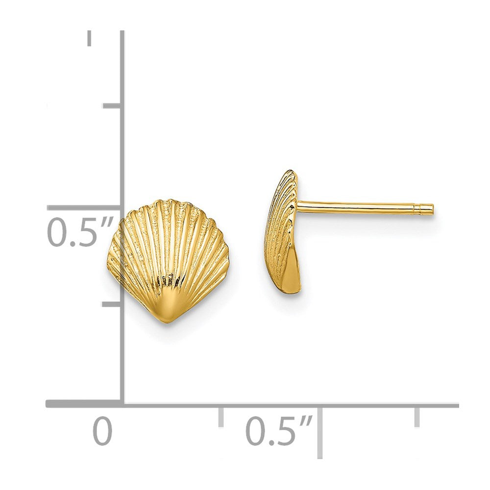 14k Yellow Gold 8 mm Scallop Shell Post Earrings (1.16 grams)