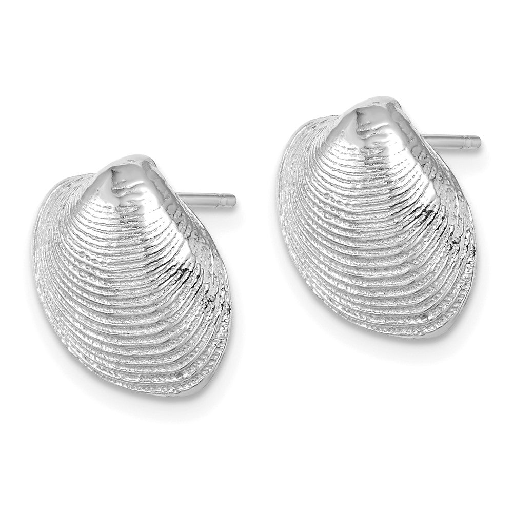 14k White Gold 15.1 mm  Clam Shell Post Earrings (3.35 grams)