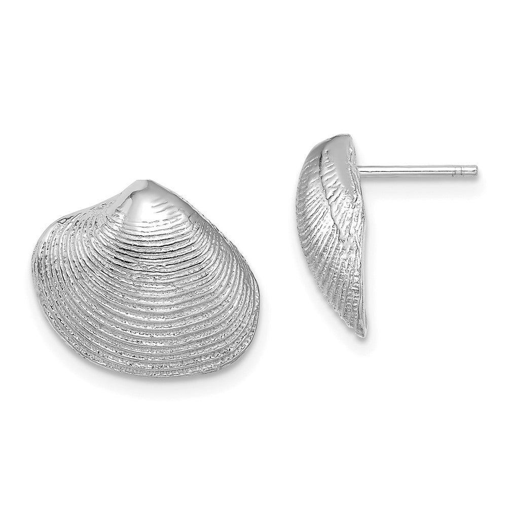 14k White Gold 15.1 mm  Clam Shell Post Earrings (3.35 grams)