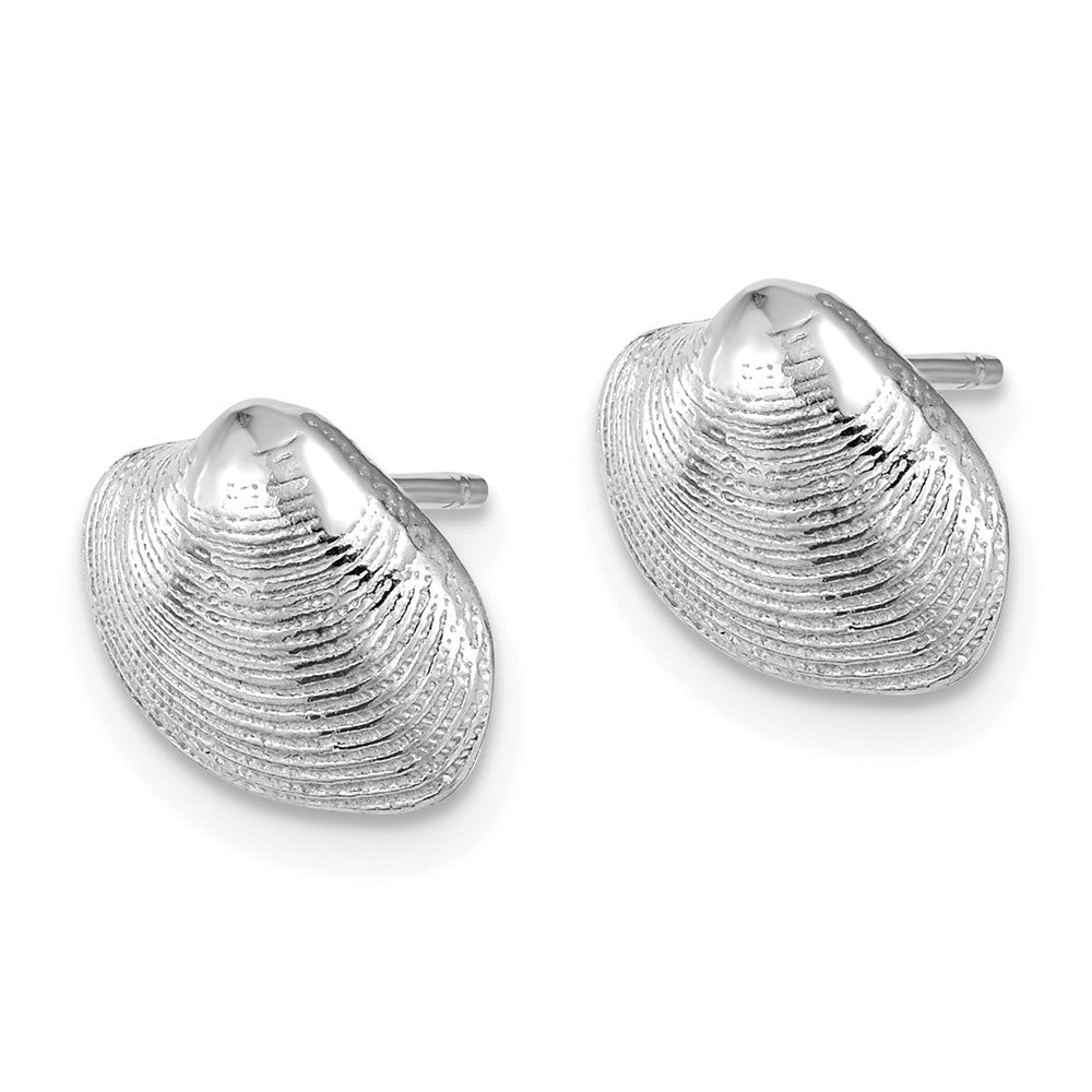 14k White Gold 11 mm  Clam Shell Post Earrings (1.69 grams)