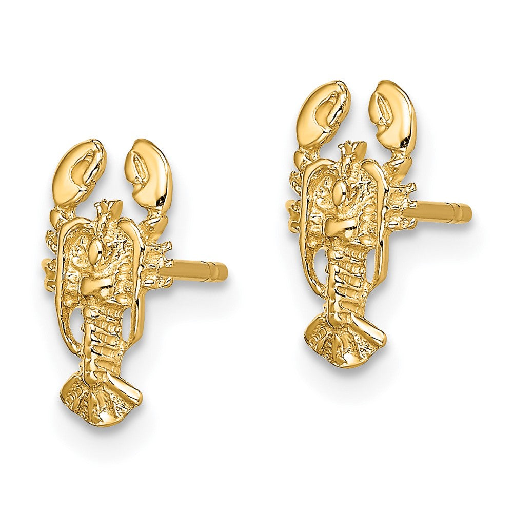 14k Yellow Gold 5.75 mm 2-D Lobster Post Earrings (0.97 grams)