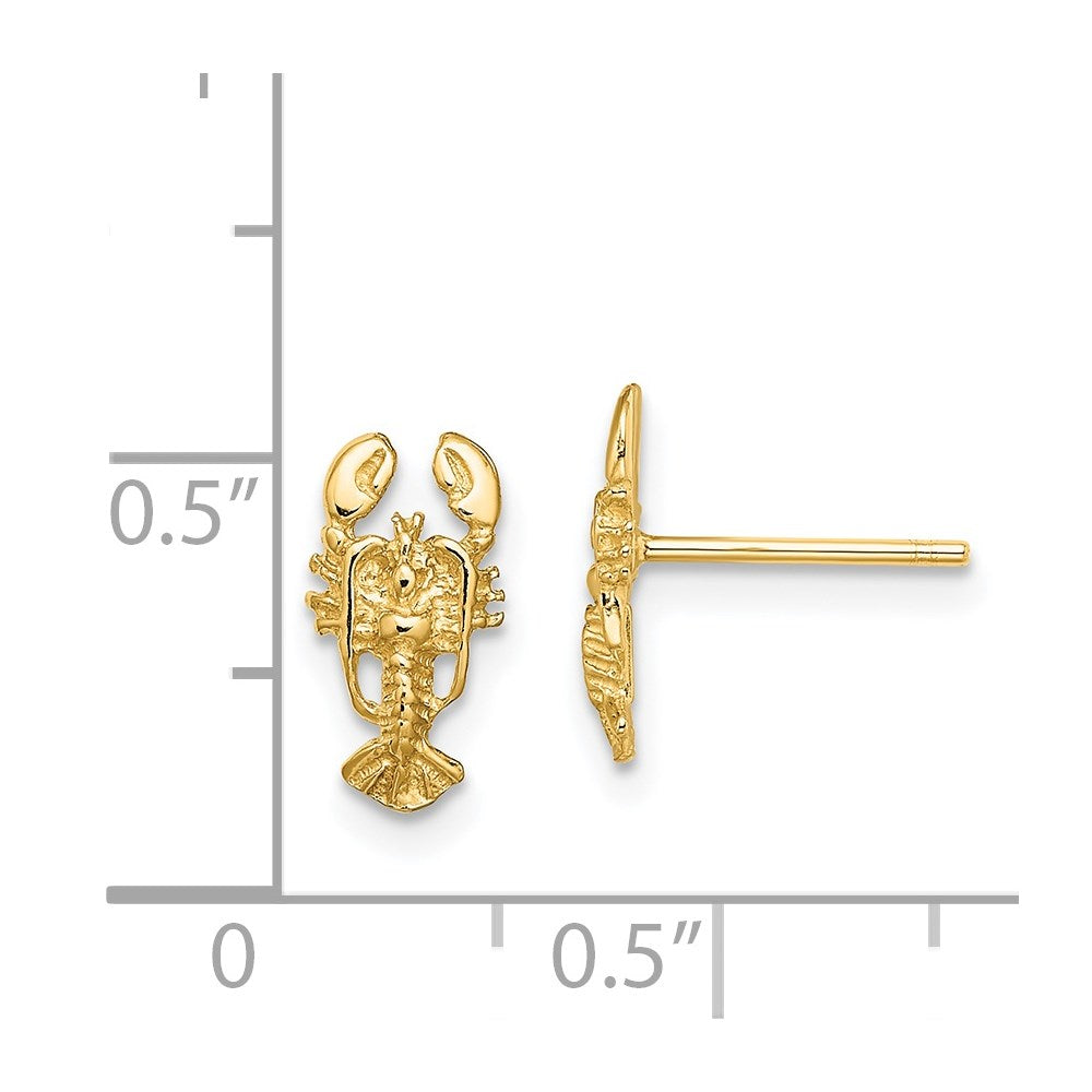 14k Yellow Gold 5.75 mm 2-D Lobster Post Earrings (0.97 grams)