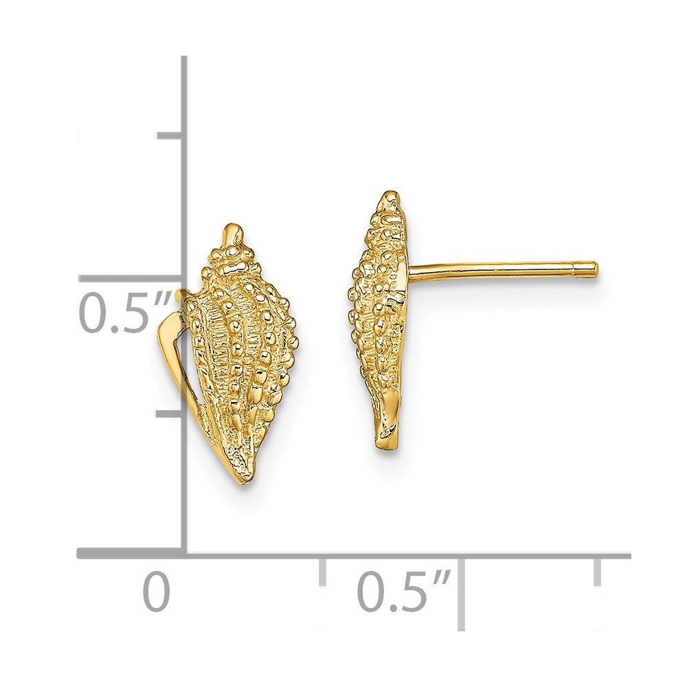 14k Yellow Gold 6.2 mm Mini Conch Shell Post Earrings (1.26 grams)