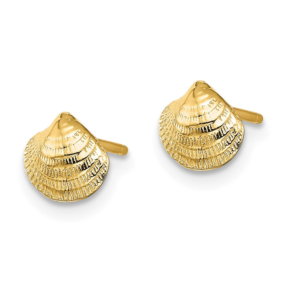14k Yellow Gold 6.9 mm Mini Clam Shell Post Earrings (0.84 grams)