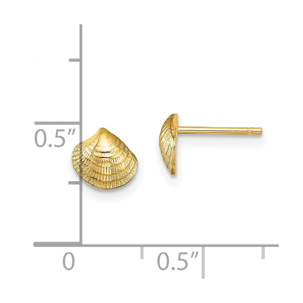 14k Yellow Gold 6.9 mm Mini Clam Shell Post Earrings (0.84 grams)