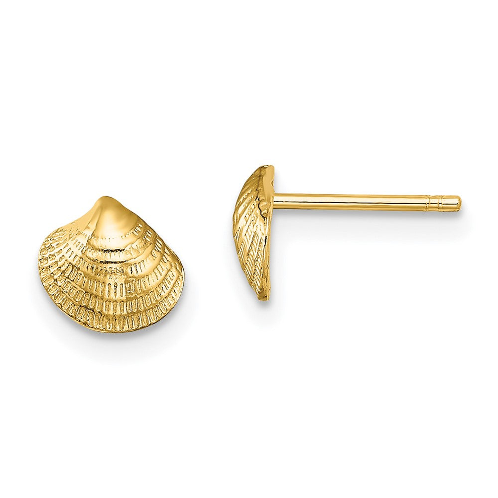 14k Yellow Gold 6.9 mm Mini Clam Shell Post Earrings (0.84 grams)