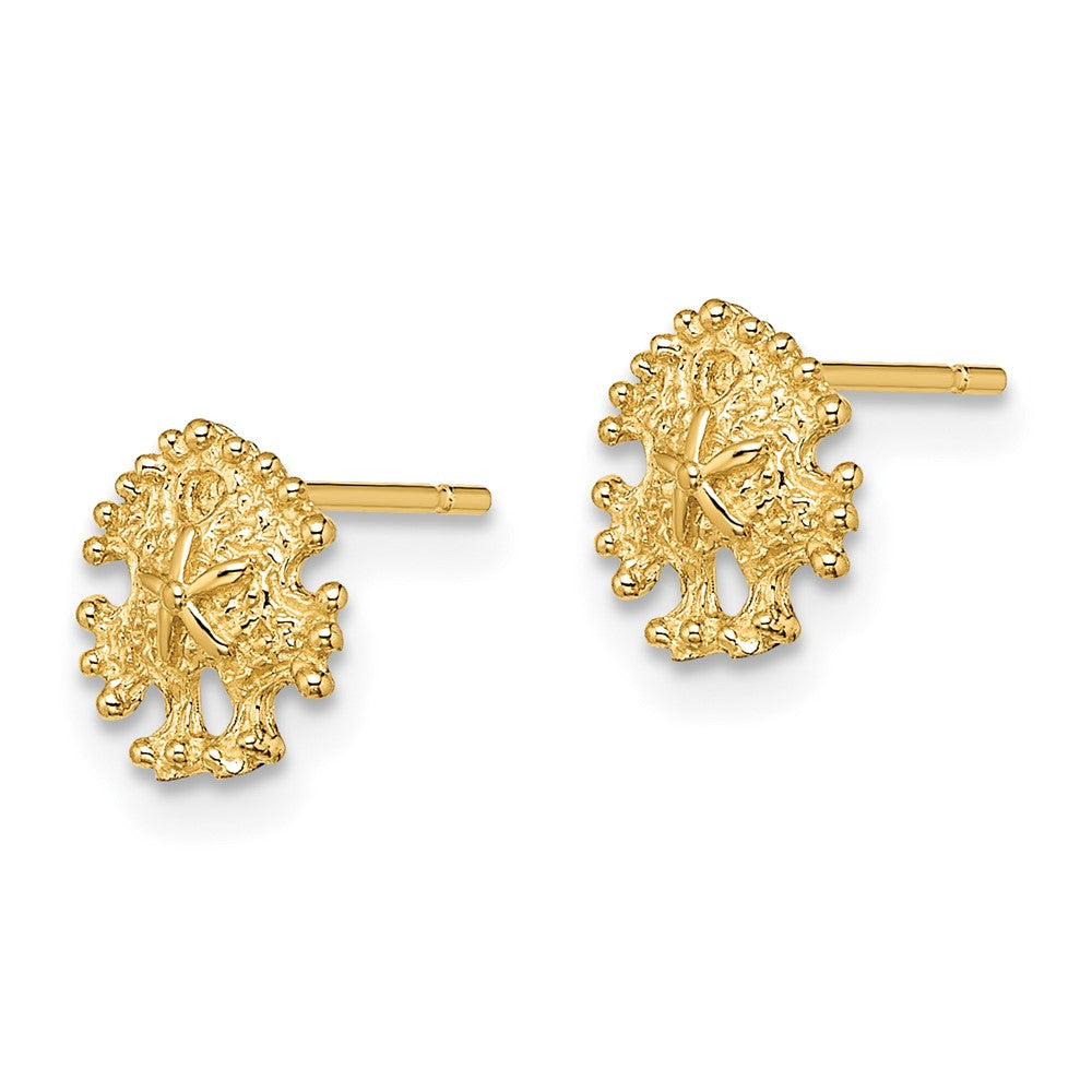14k Yellow Gold 7.15 mm Mini Sand Dollar Post Earrings (0.81 grams)