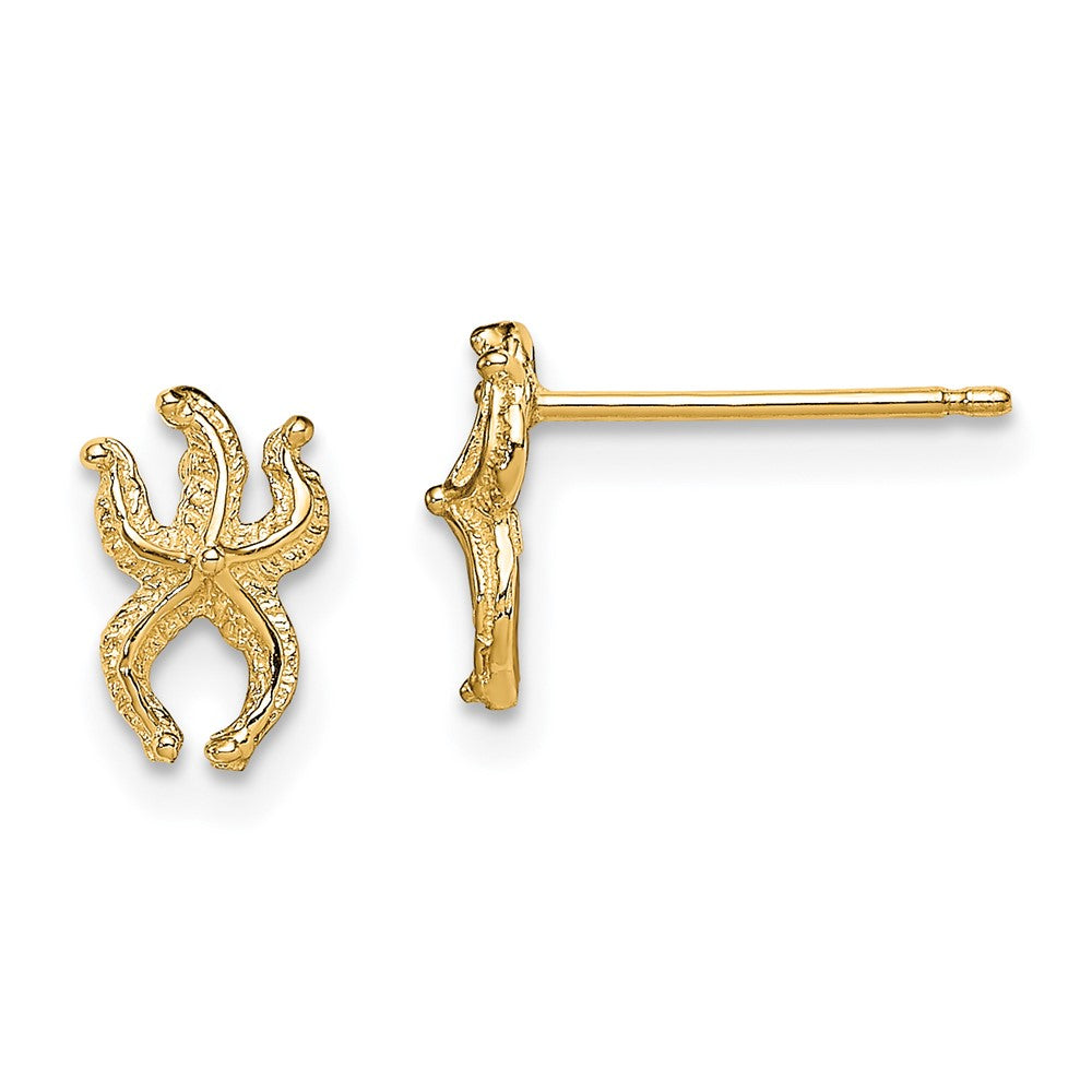 14k Yellow Gold 5.8 mm Mini Starfish Post Earrings (0.72 grams)