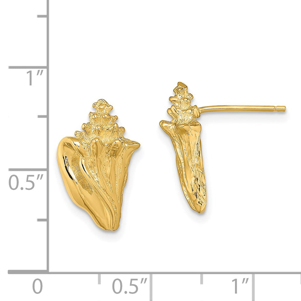 14k Yellow Gold 10 mm 2-D Conch Shell Post Earrings (3.65 grams)
