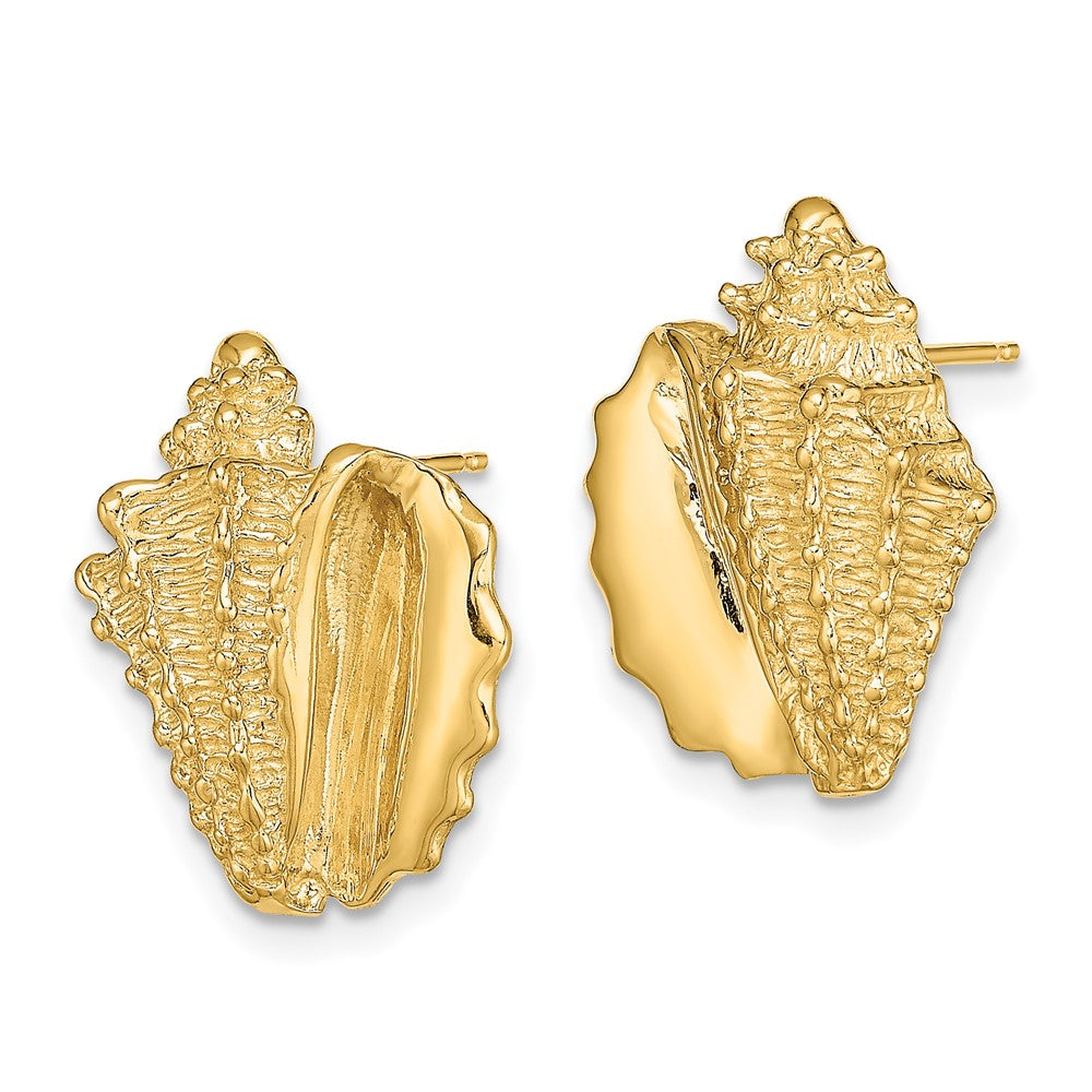 14k Yellow Gold 14 mm 2-D Conch Shell Post Earrings (5.87 grams)